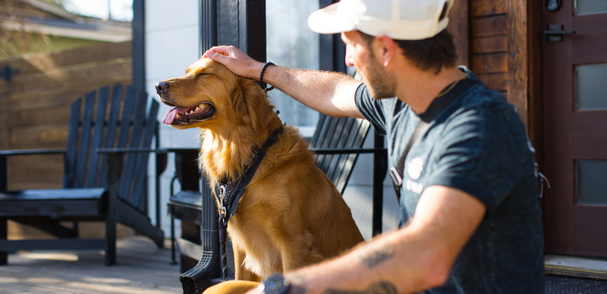 Cómo influyen los perros y los gatos en nuestra salud mental