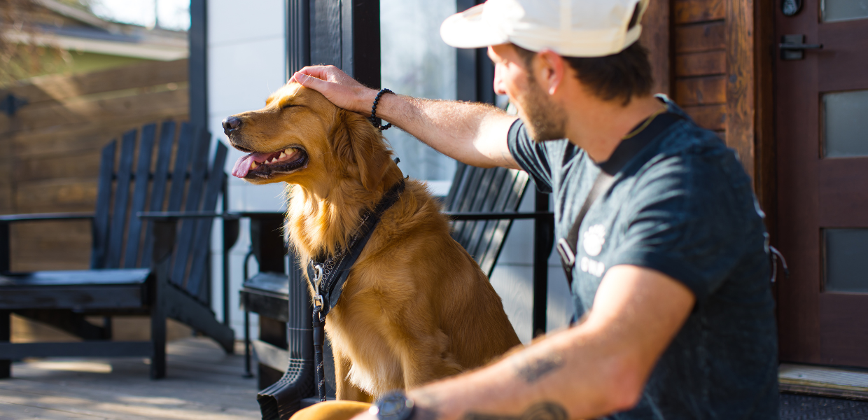 Cómo influyen los perros y los gatos en nuestra salud mental